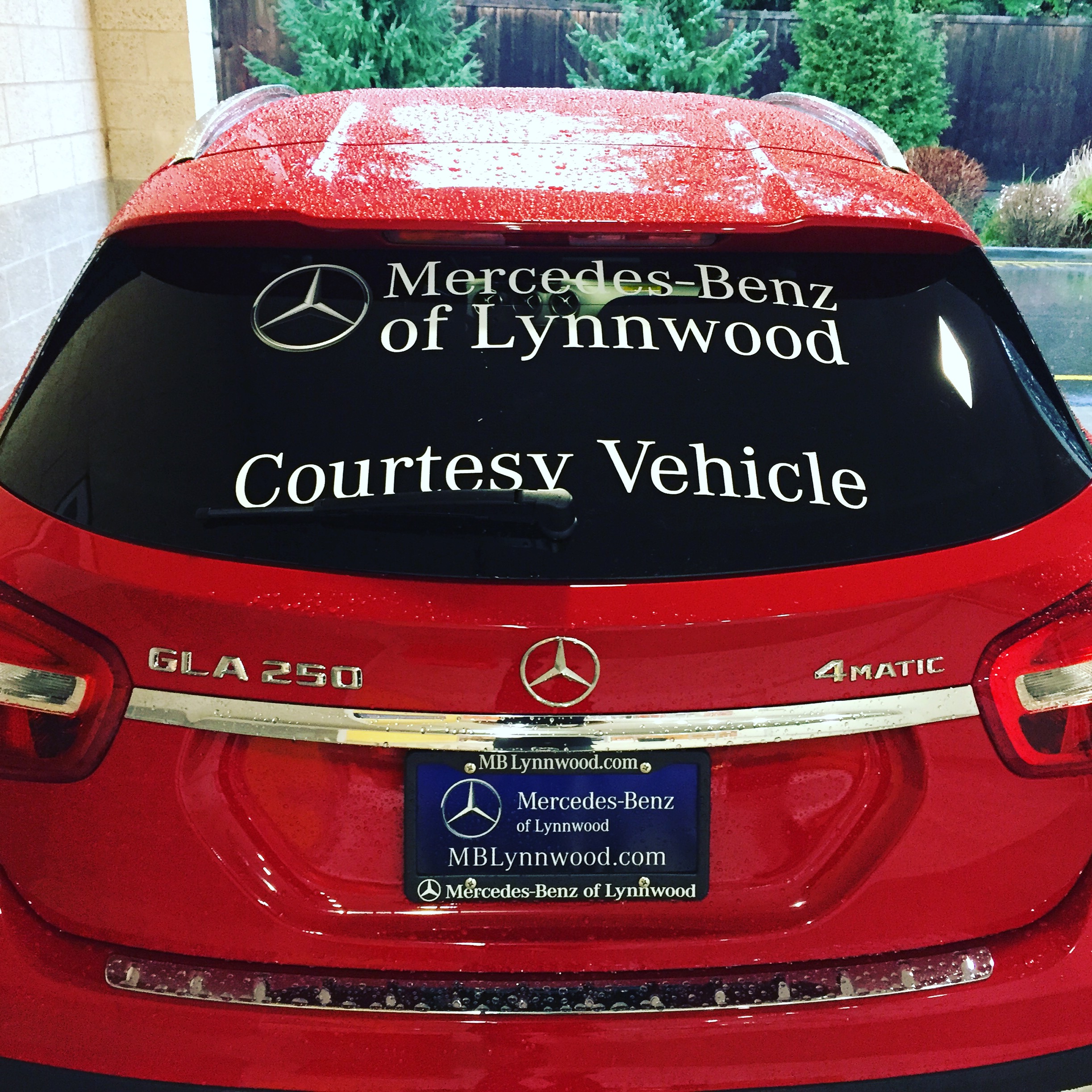 Vinyl window lettering for MercedesBenz of Lynnwood Vinyl Lab NW